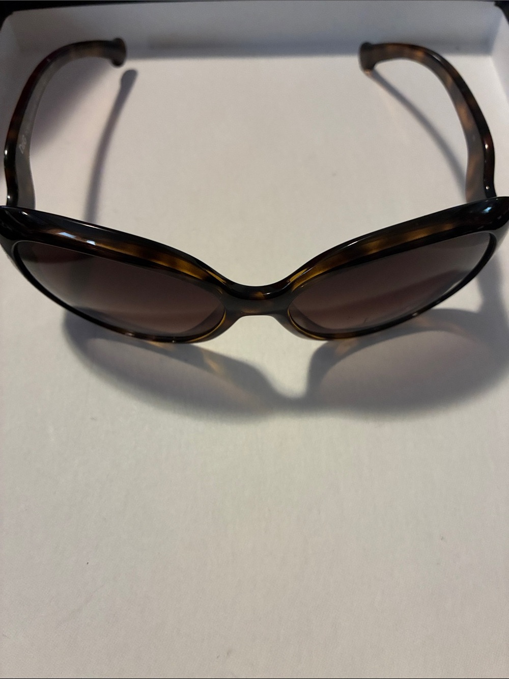 Dolce & Gabbana Sunglasses